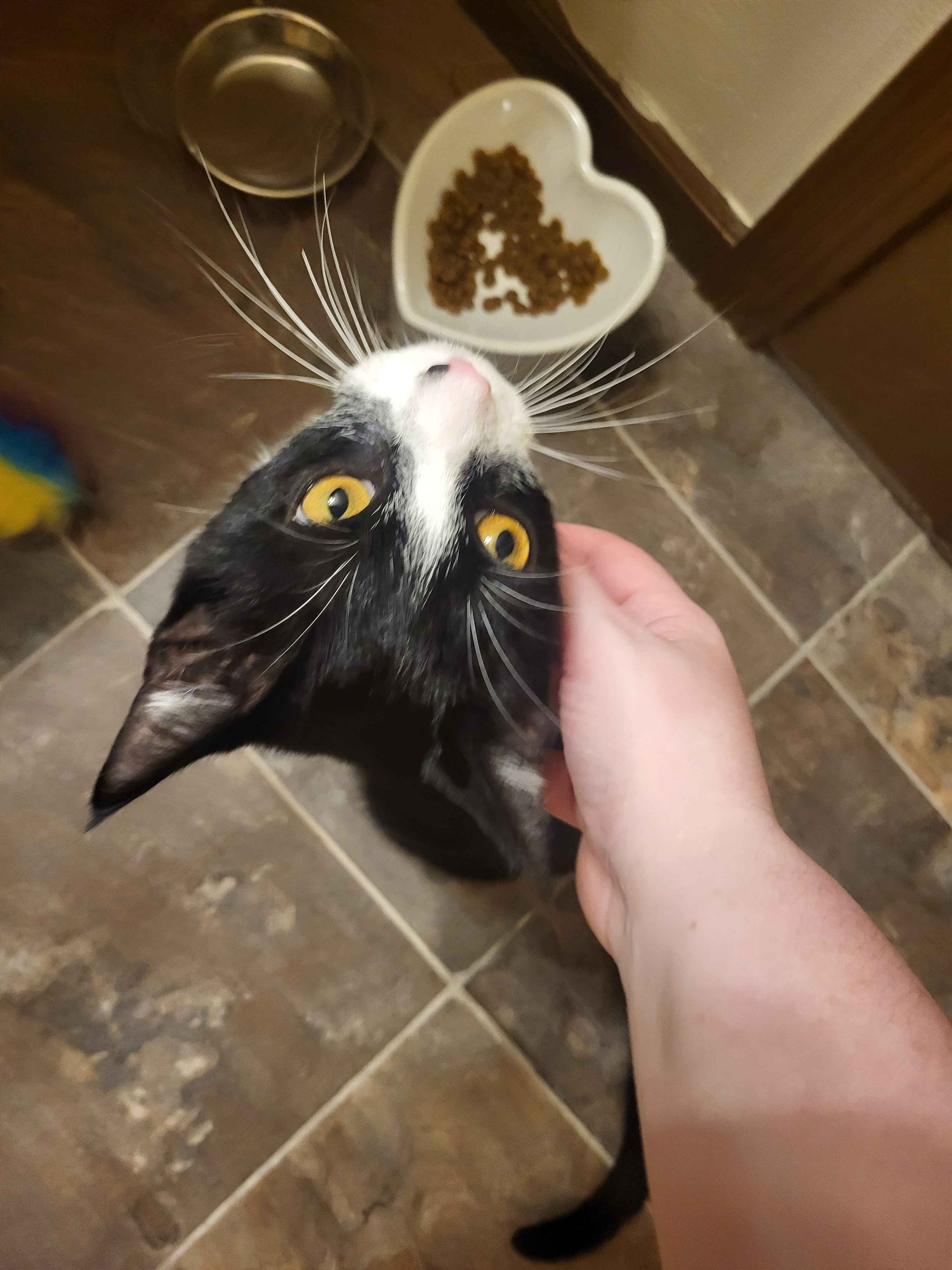 boba next